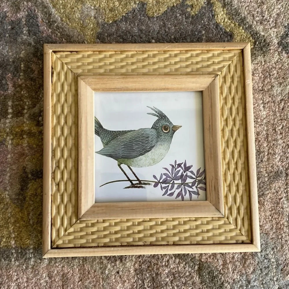 Rachel  Rachel Roy  Picture  Frame
